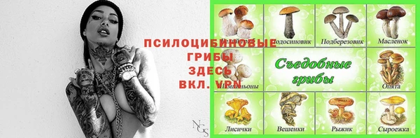 apvp Алексин