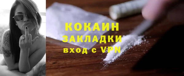 крисы Алзамай