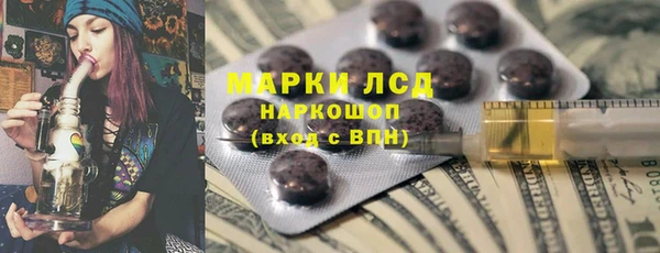 крисы Алзамай