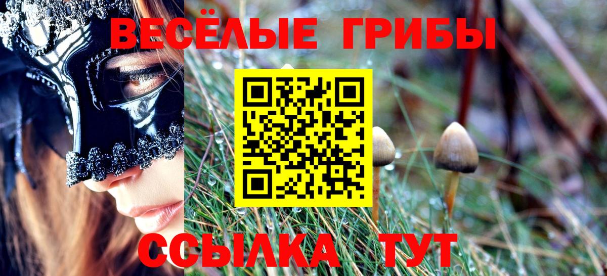 цена   Псилоцибиновые грибы Cubensis  Старая Купавна  Вход с VPN  Галлюциногенные грибы Magic Shrooms 